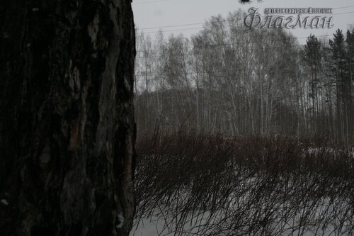 _MG_4848_r